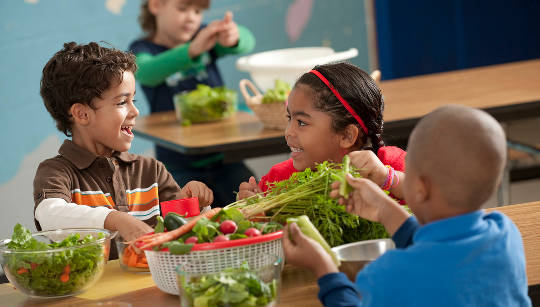 If You Love Me, Don’t Feed Me Bacon or Soft Drinks If You Love Me, Don’t Feed Me Bacon or Soft Drinks